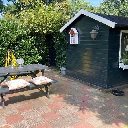Charmant Chalet Op Een Bospark Op De Veluwe Villa Putten Bagian luar foto